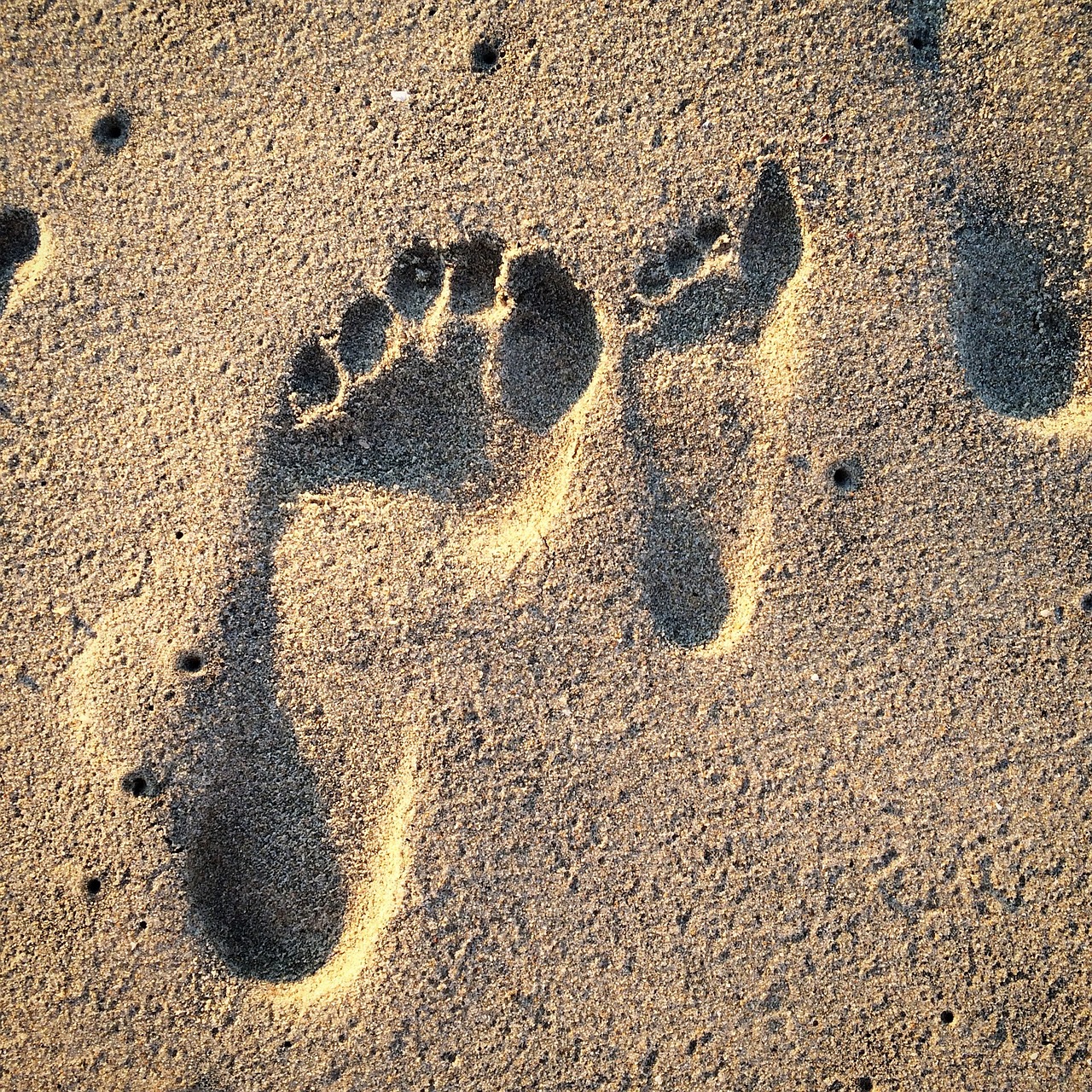 découvrez comment comprendre et réduire votre empreinte carbone pour un mode de vie plus durable. apprenez les étapes simples à suivre pour diminuer votre impact environnemental et contribuer à la lutte contre le changement climatique.