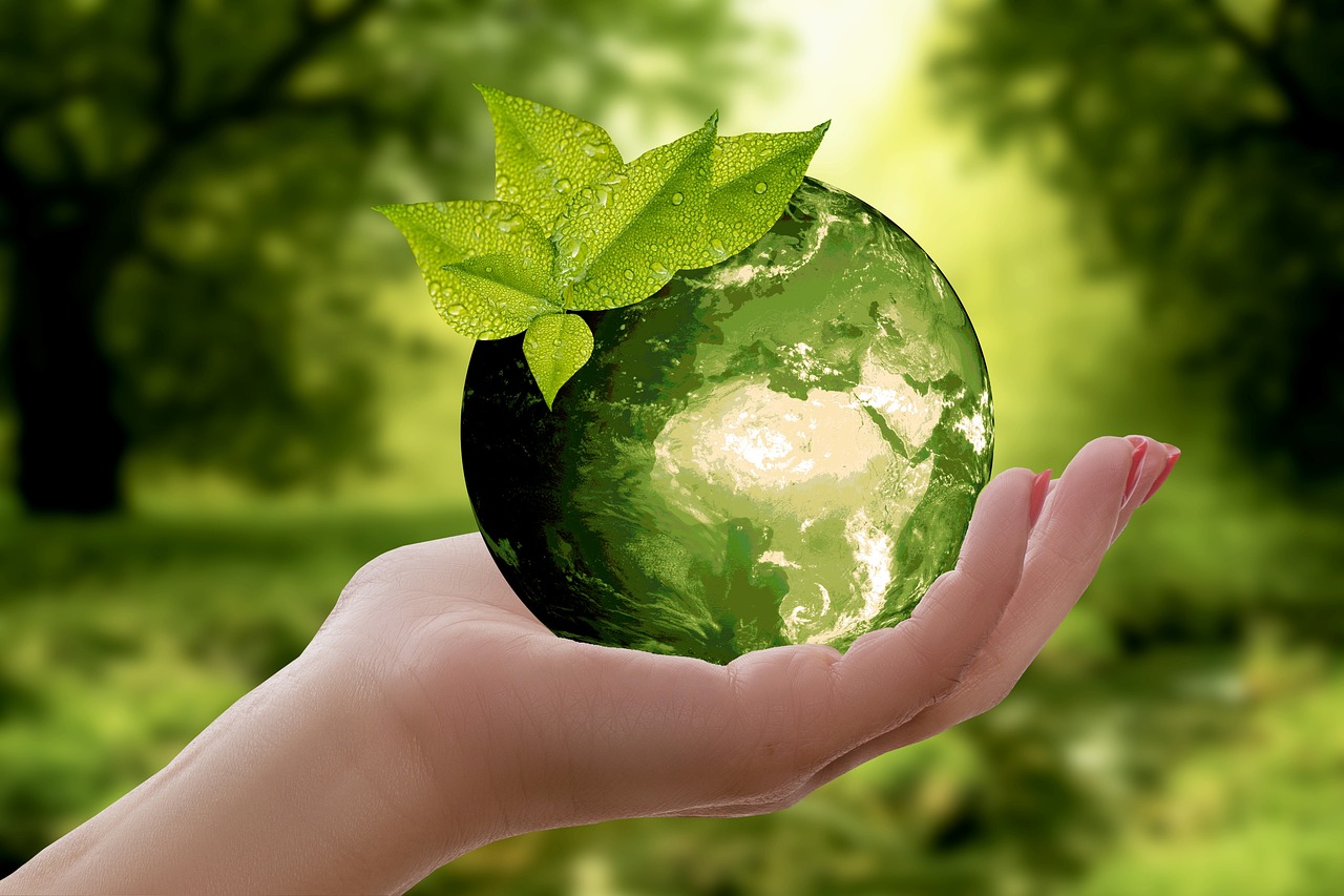 découvrez l'importance de la durabilité dans nos sociétés modernes. apprenez comment adopter des pratiques écologiques pour préserver notre planète, promouvoir les énergies renouvelables et favoriser une économie responsable pour les générations futures.