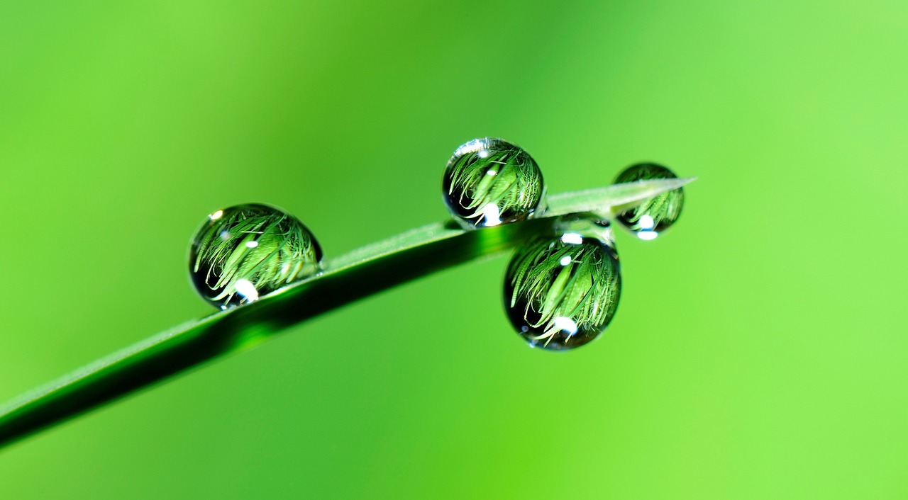 découvrez les opportunités de financement écologique avec notre guide sur le green financing. apprenez comment investir de manière durable et responsable pour un avenir meilleur.