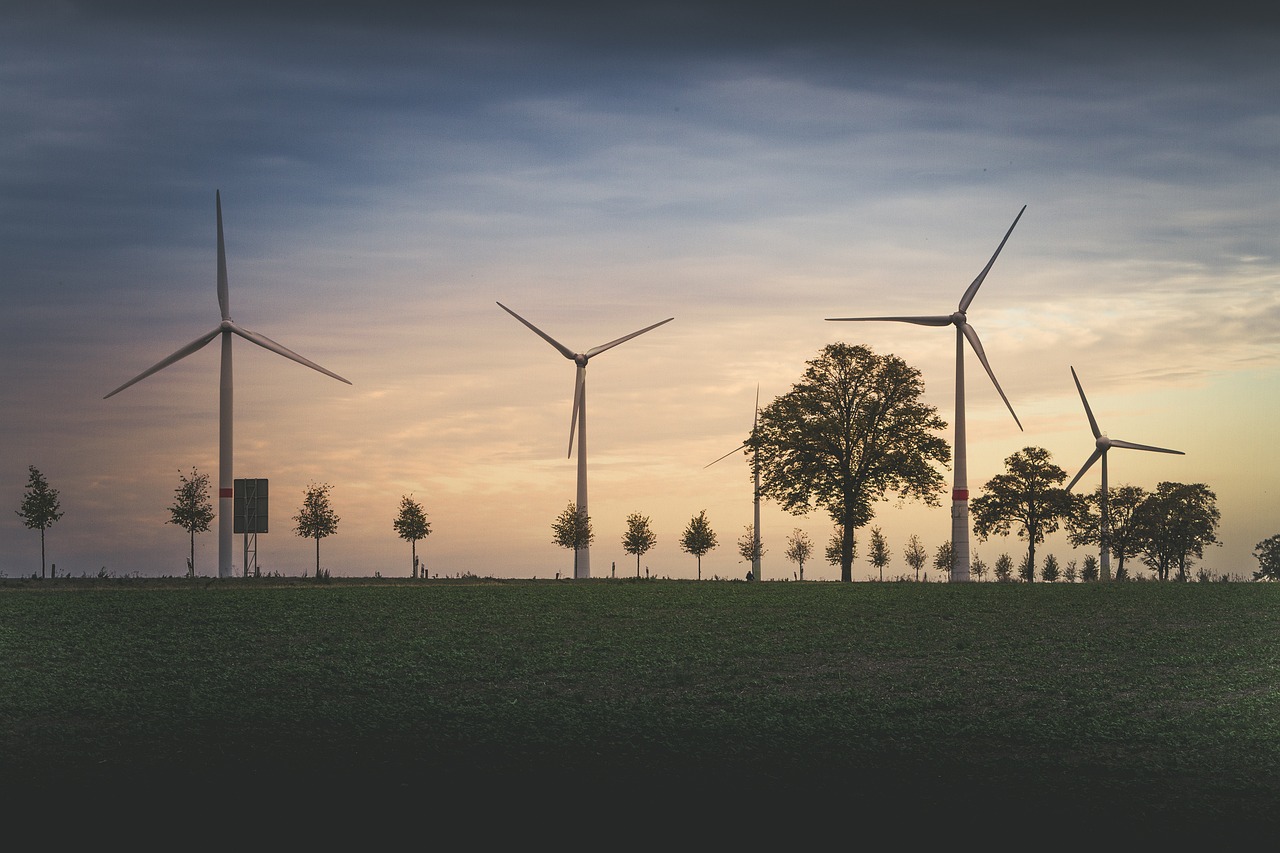 découvrez des stratégies et des actions pour la préservation de l'environnement. apprenez comment protéger la biodiversité, réduire les déchets et adopter des pratiques durables pour un avenir meilleur.
