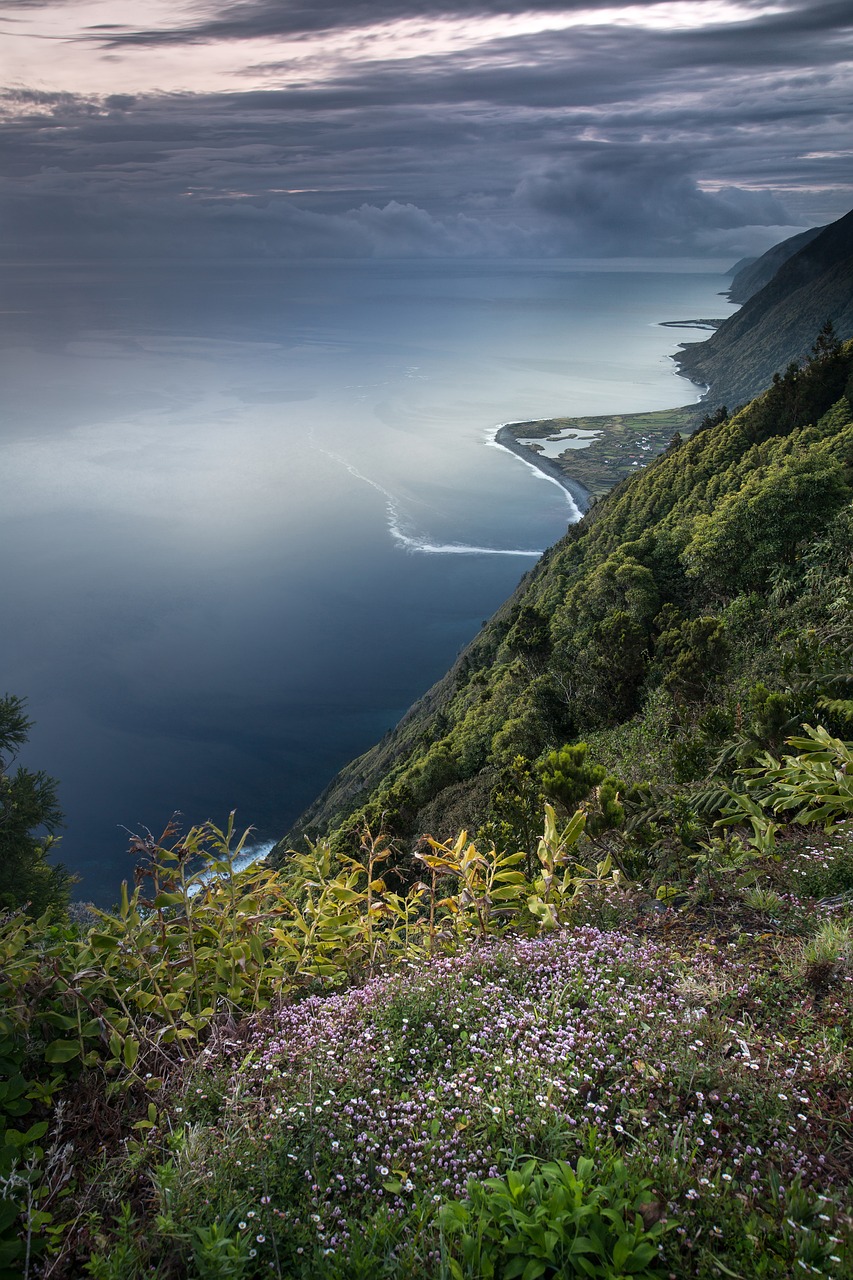 découvrez la richesse de la biodiversité, essentielle à la santé de notre planète. explorez les diverses espèces, leurs habitats uniques et l'importance de préserver cet équilibre fragile pour les générations futures.