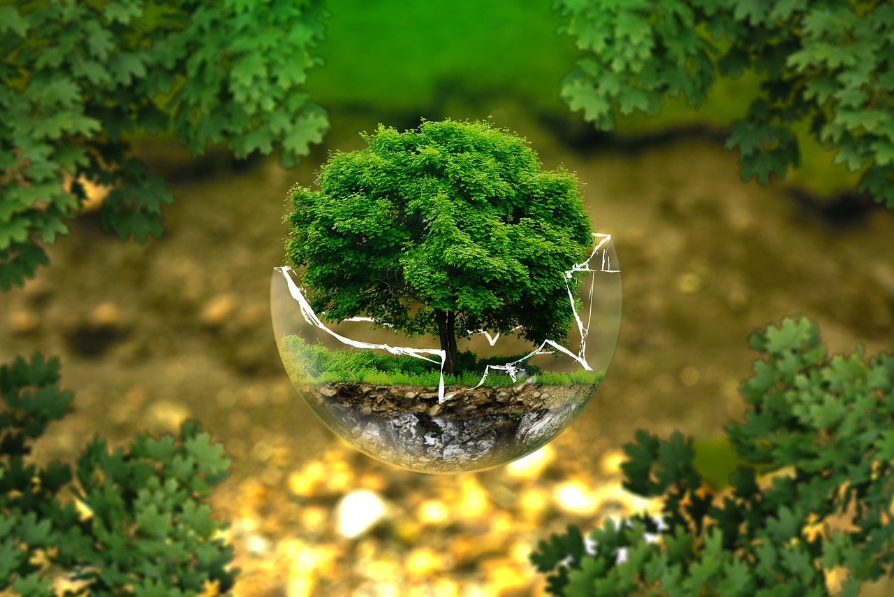 découvrez les coûts environnementaux liés à nos activités quotidiennes et à l'industrie. analysez l'impact écologique et apprenez comment réduire votre empreinte environnementale pour un avenir durable.
