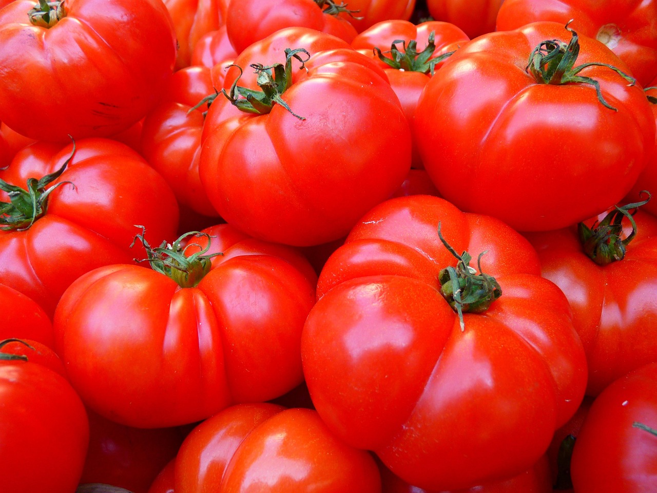 découvrez comment créer un jardin biologique sur votre balcon avec des astuces simples et écologiques pour cultiver vos propres légumes et herbes aromatiques chez vous.
