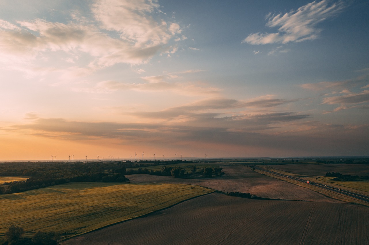 découvrez l'importance de la durabilité dans le monde moderne. explorez des pratiques et des solutions écologiques pour un avenir plus vert, tout en apprenant comment chaque individu peut contribuer à la préservation de notre planète.
