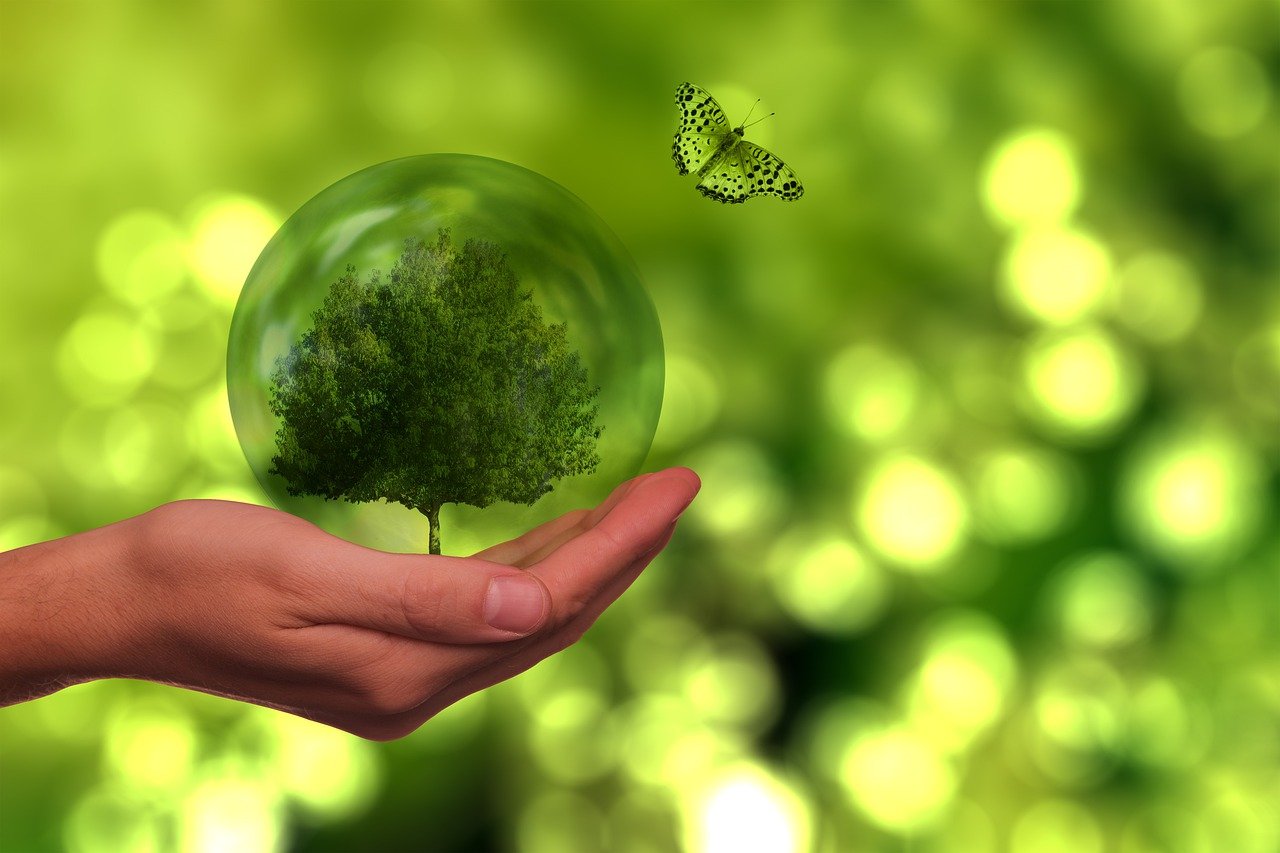 découvrez l'importance de la durabilité dans notre monde moderne. apprenez comment adopter des pratiques écoresponsables pour préserver notre planète, réduire notre empreinte carbone et promouvoir un avenir durable pour les générations futures.