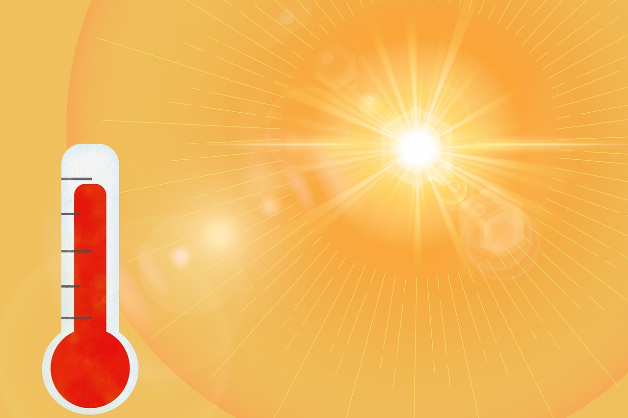 découvrez comment faire face à la canicule avec nos conseils pour rester au frais et en sécurité pendant les vagues de chaleur.