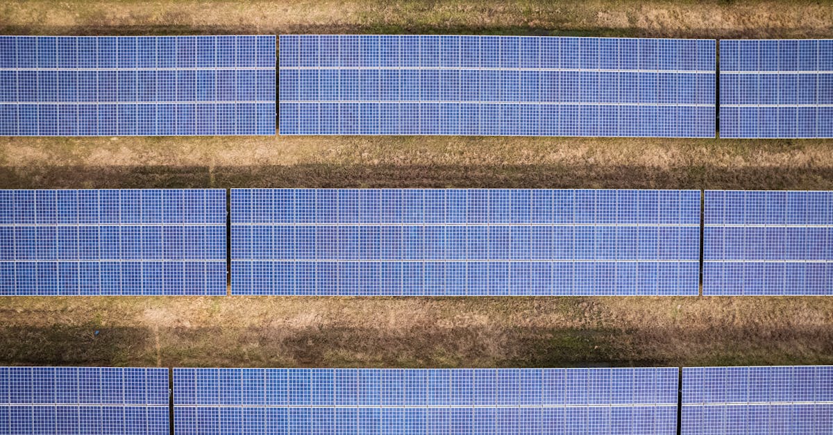 découvrez des stratégies efficaces pour réduire votre empreinte carbone et contribuer à un avenir plus durable. adoptez des pratiques écologiques et engagez-vous pour la protection de notre planète.