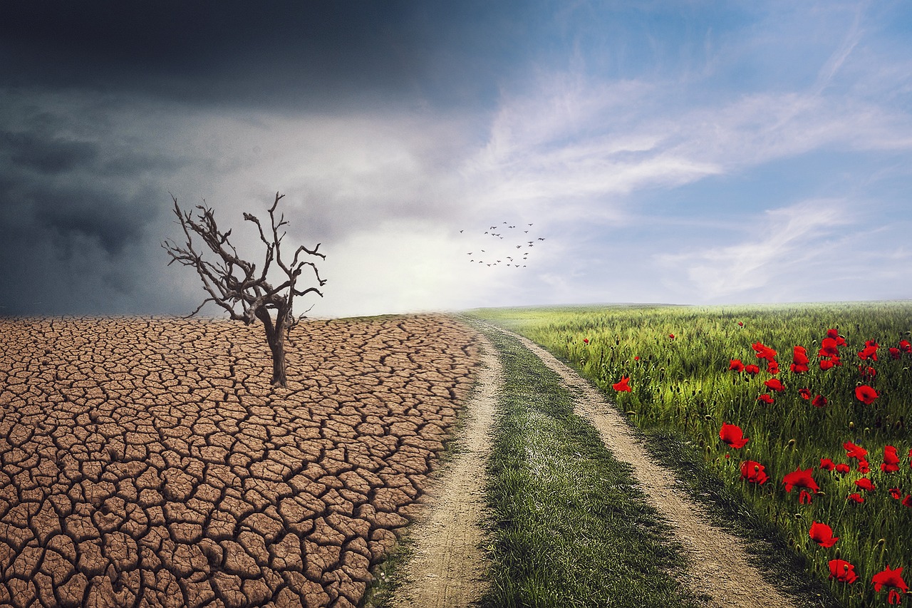 découvrez les enjeux des risques climatiques et leur impact sur l'environnement et nos sociétés. analyse des conséquences, des adaptations nécessaires et des solutions pour faire face aux défis du changement climatique.