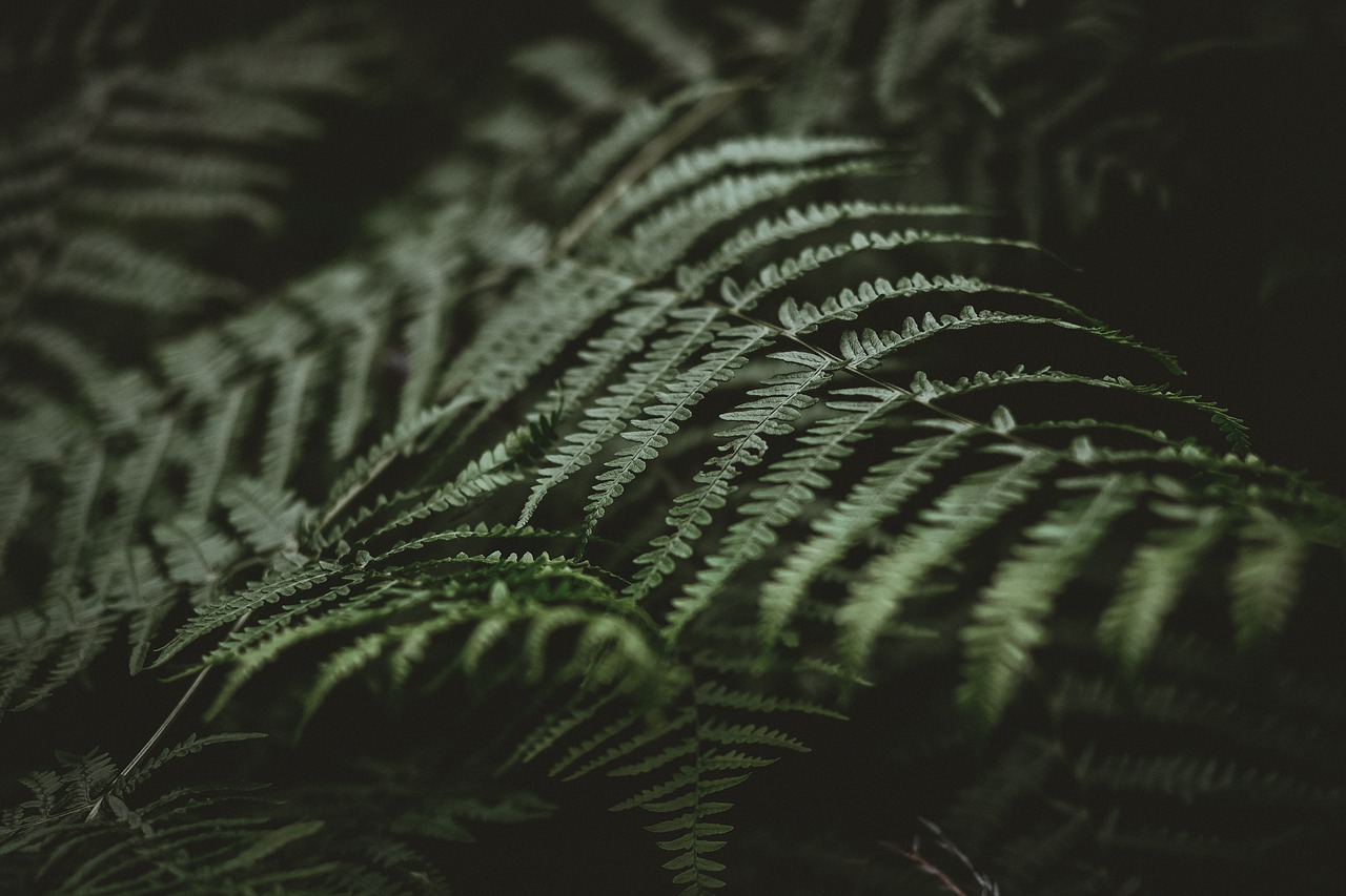 découvrez les opportunités de financement durable avec le green financing. explorez comment les investissements écologiques favorisent la transition vers une économie durable tout en générant des rendements financiers.