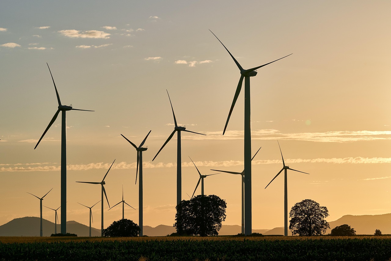découvrez l'énergie renouvelable, une solution durable pour un avenir écologique. explorez les différentes sources comme le solaire, l'éolien et l'hydraulique, et apprenez comment elles contribuent à réduire notre empreinte carbone tout en soutenant l'économie verte.