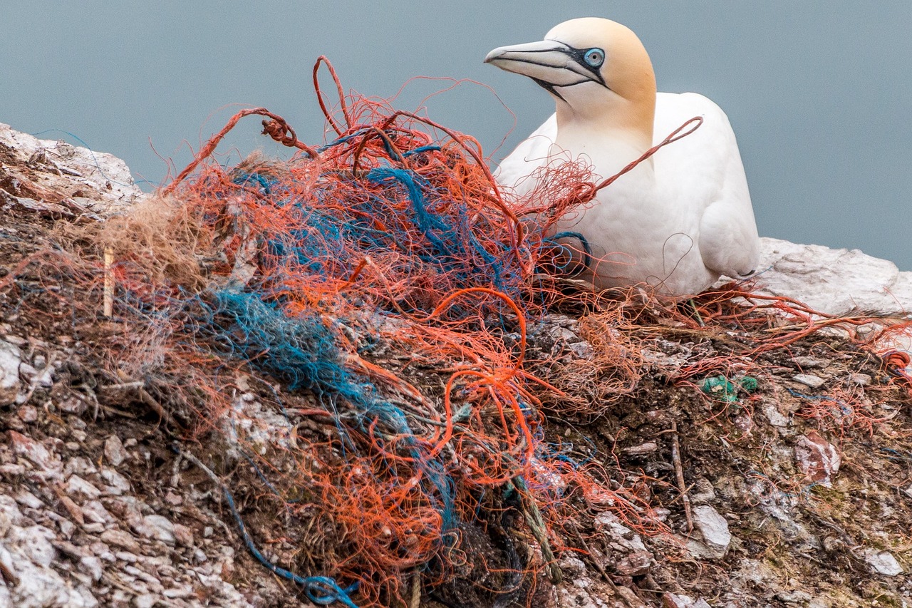 découvrez les différentes formes de pollution qui affectent notre environnement, les causes sous-jacentes, leurs impacts sur la santé et les solutions pour préserver notre planète.
