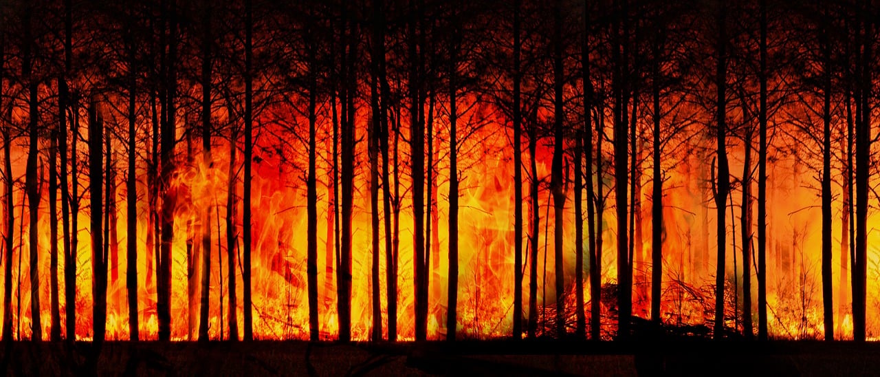 découvrez les causes, les impacts et les solutions au changement climatique. informez-vous sur les actions à entreprendre pour protéger la planète et lutter contre le réchauffement global.