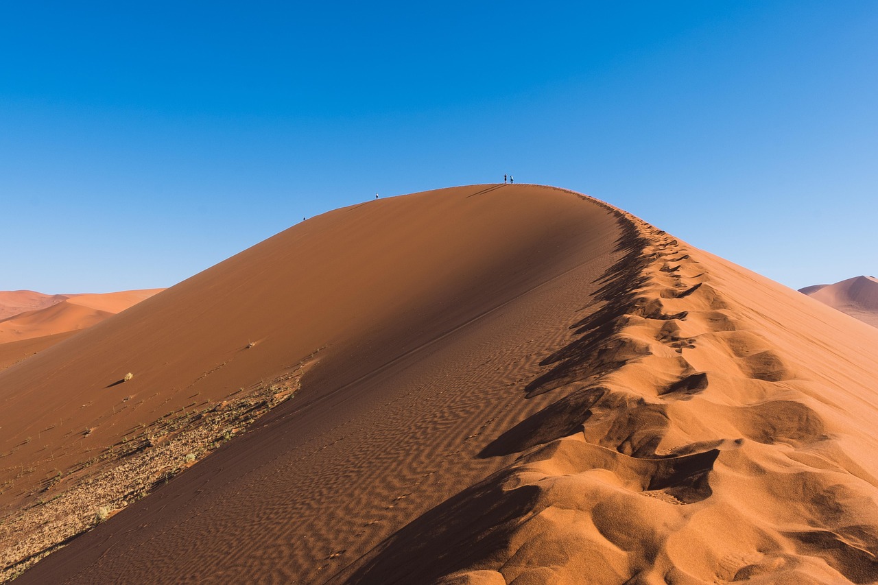découvrez des initiatives et solutions innovantes pour agir efficacement contre le changement climatique et protéger notre planète.