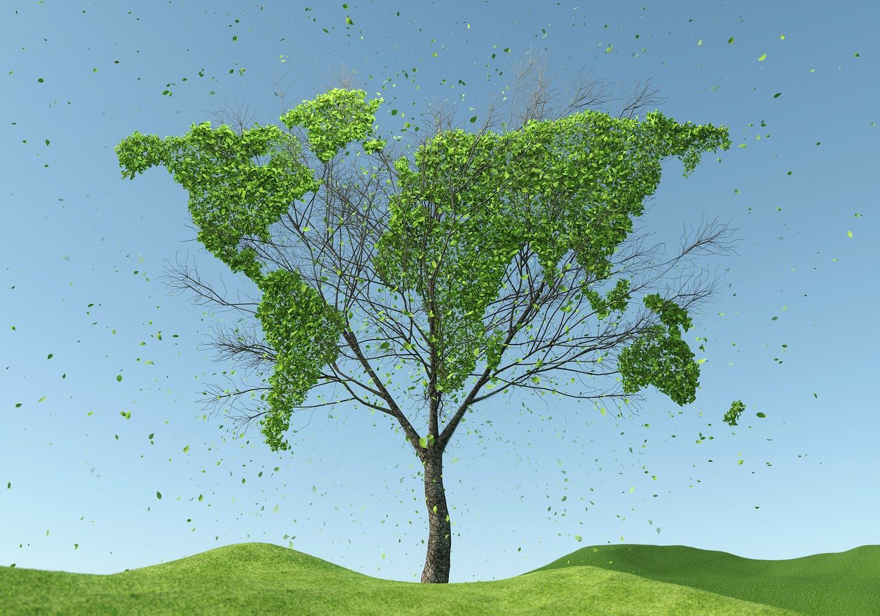 découvrez l'importance de la durabilité dans notre société actuelle. explorez des pratiques écologiques, des méthodes de consommation responsables et des solutions innovantes pour préserver notre planète pour les générations futures.
