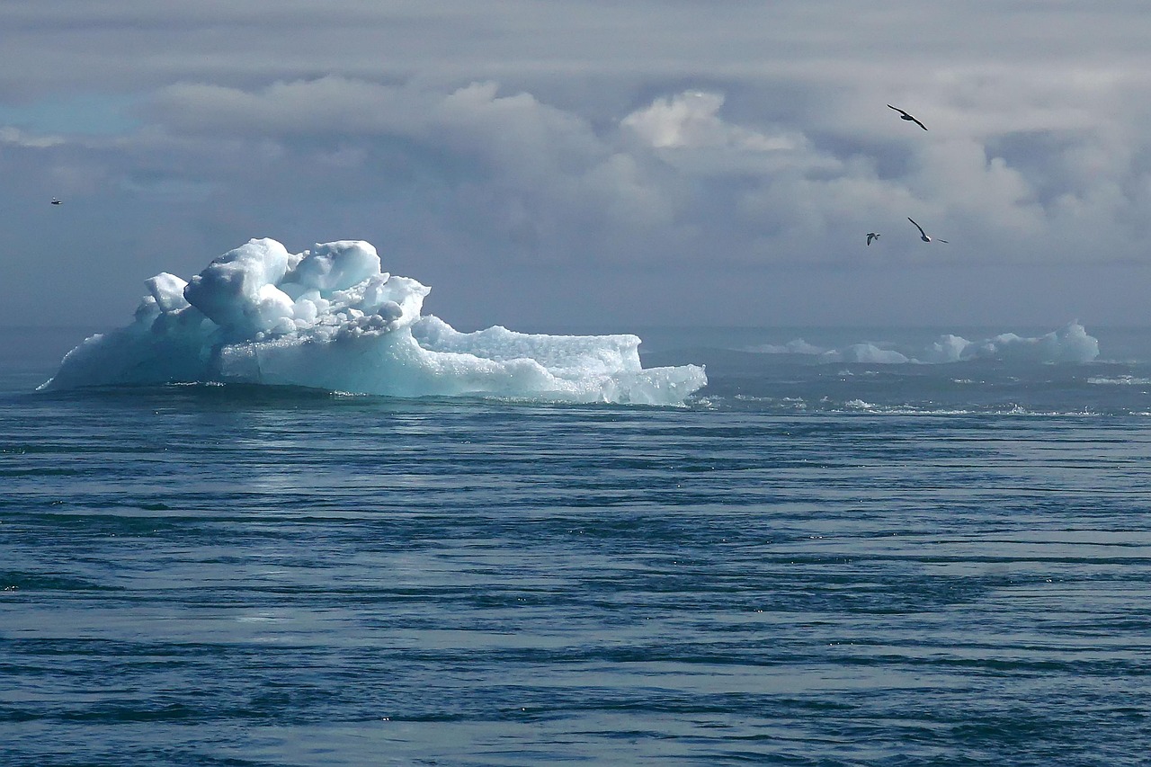 découvrez comment renforcer la résilience climatique à travers des stratégies innovantes et durables. apprenez à anticiper les impacts du changement climatique et à protéger votre environnement tout en favorisant une croissance économique éthique.
