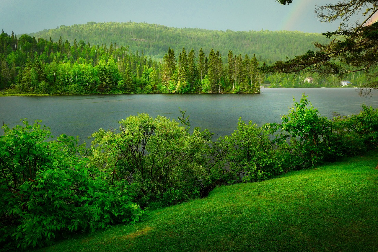 découvrez la biodiversité, un terme qui englobe l'incroyable variété de vie sur terre. explorez l'importance des écosystèmes, la conservation des espèces et les actions à entreprendre pour protéger notre planète. plongez dans un univers fascinant où chaque espèce joue un rôle crucial dans l'équilibre de la nature.
