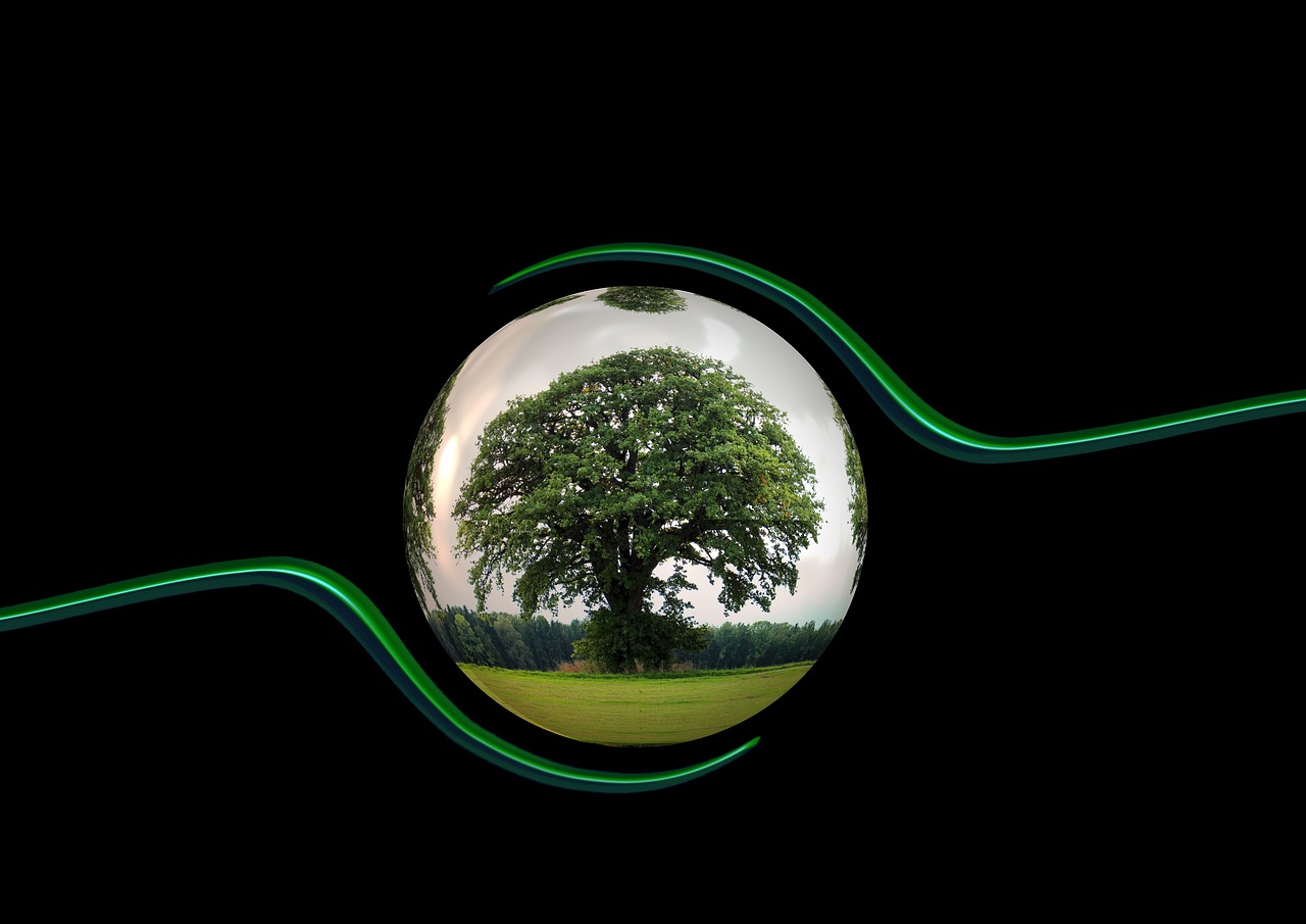 découvrez nos actions et conseils pour adopter une démarche éco-responsable, réduire votre impact environnemental et préserver la planète pour les générations futures.