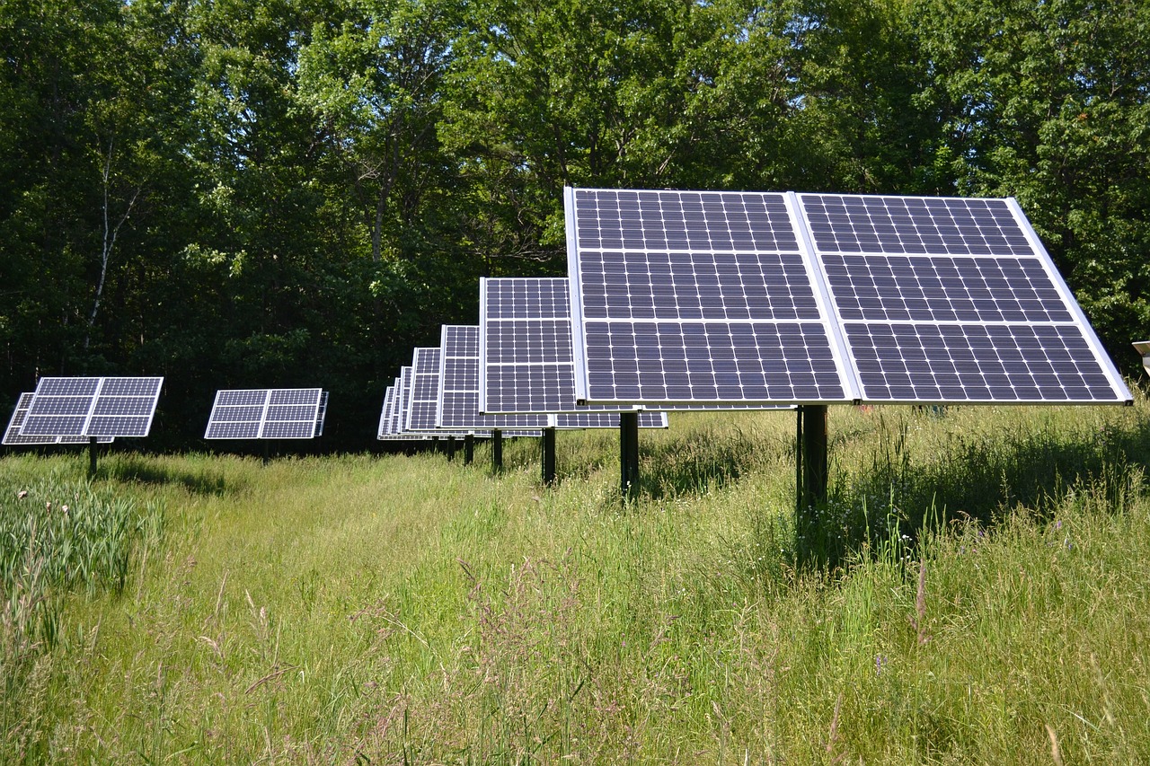 découvrez les ressources renouvelables, une solution durable pour un avenir meilleur. apprenez comment l'énergie solaire, éolienne et hydraulique peuvent réduire notre empreinte carbone et préserver notre planète.