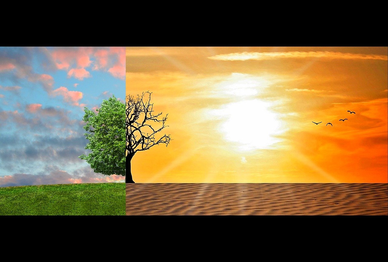 découvrez les enjeux du changement climatique, ses causes, ses conséquences sur notre planète et les actions que nous pouvons entreprendre pour un avenir durable.