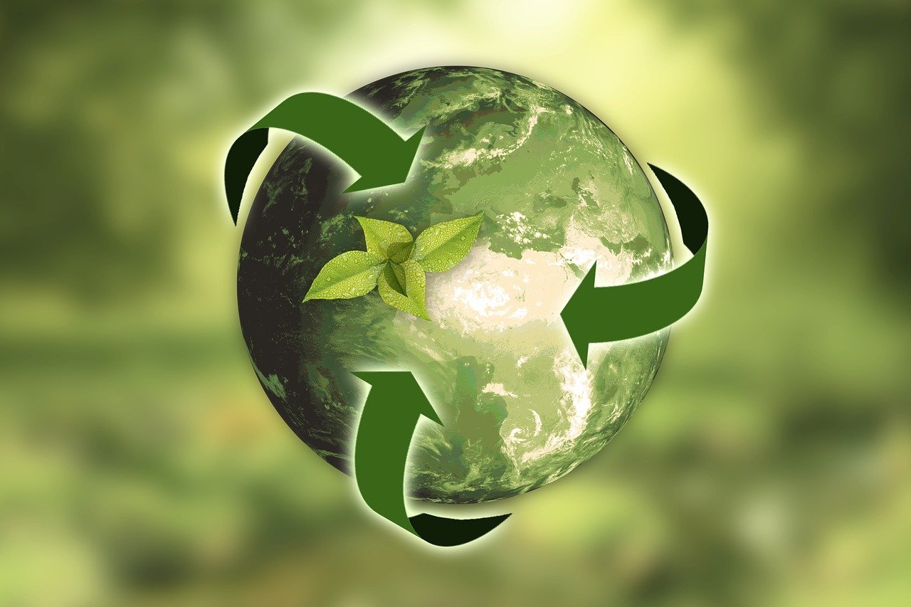 découvrez les enjeux de la durabilité et comment adopter des pratiques écoresponsables. explorez des solutions pour un avenir plus vert et apprenez à réduire votre impact environnemental au quotidien.