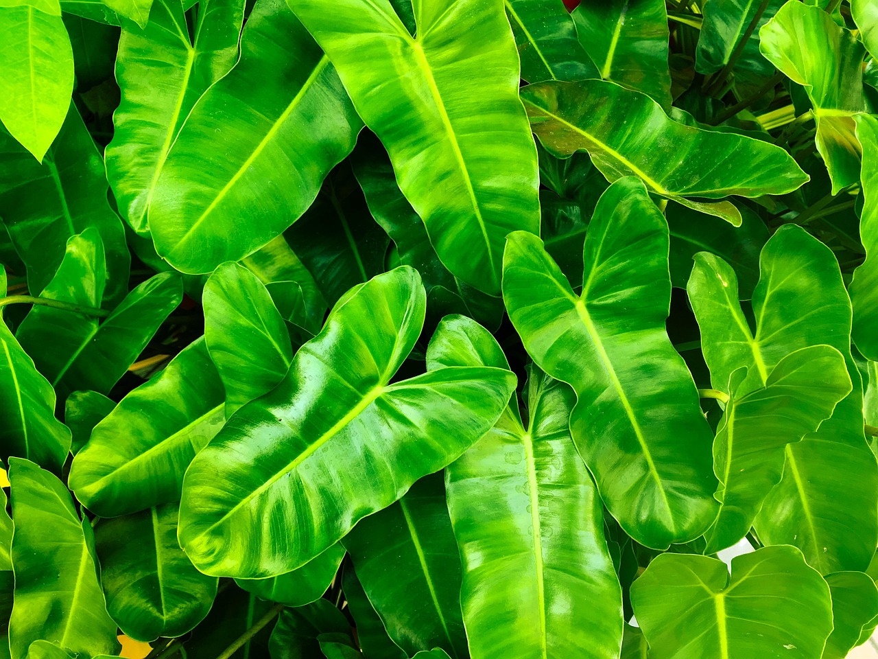 découvrez les principaux défis environnementaux auxquels notre planète est confrontée, tels que le changement climatique, la pollution, la perte de biodiversité et l'épuisement des ressources naturelles. informez-vous sur les solutions durables et les actions nécessaires pour préserver notre environnement pour les générations futures.