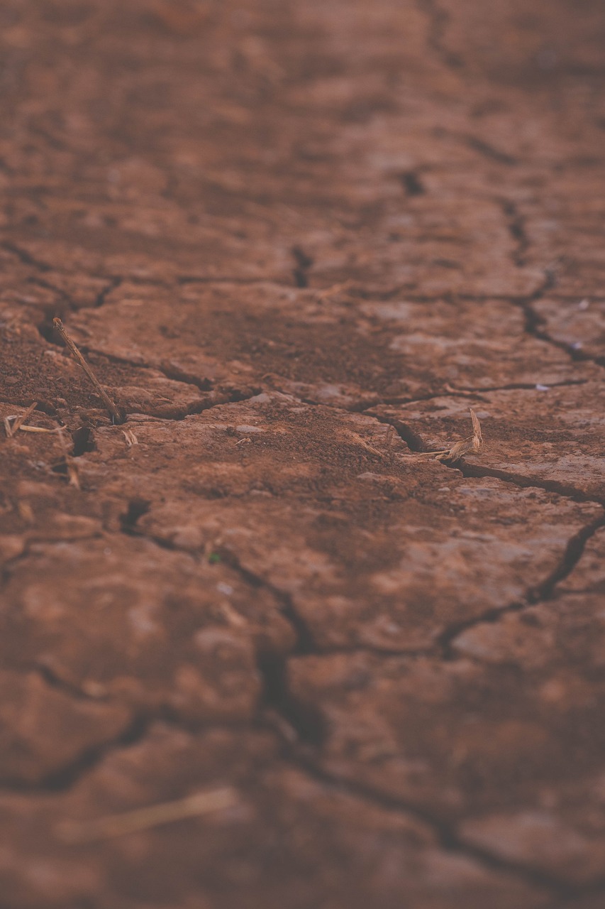 découvrez l'importance de la préservation des sols pour garantir un environnement durable. apprenez des techniques efficaces pour protéger la fertilité des terres, favoriser la biodiversité et lutter contre l'érosion. un guide essentiel pour les passionnés d'agriculture et de écologie.