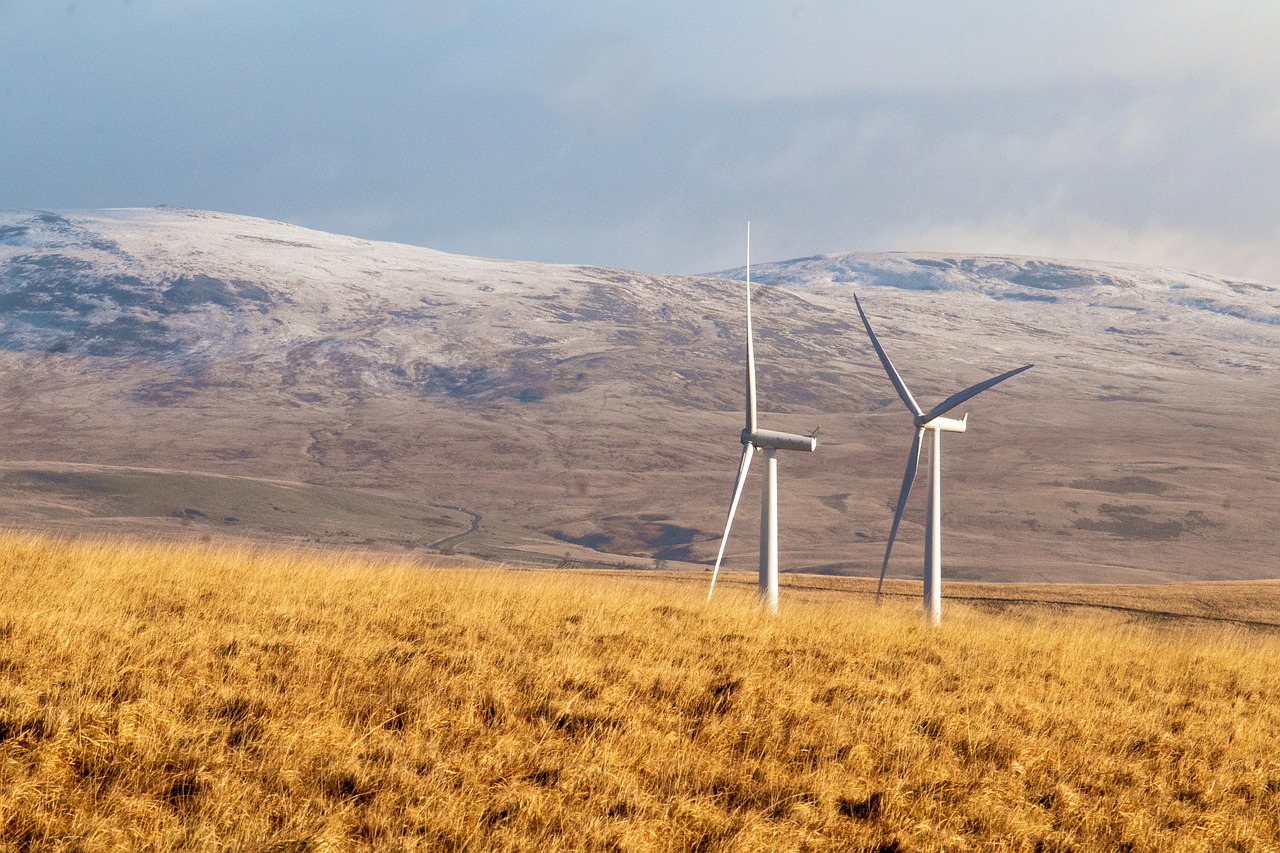 découvrez l'univers de l'énergie renouvelable, une solution durable et écologique pour réduire notre empreinte carbone. apprenez-en plus sur les différentes sources d'énergie verte, leurs avantages et comment elles contribuent à un avenir plus durable.