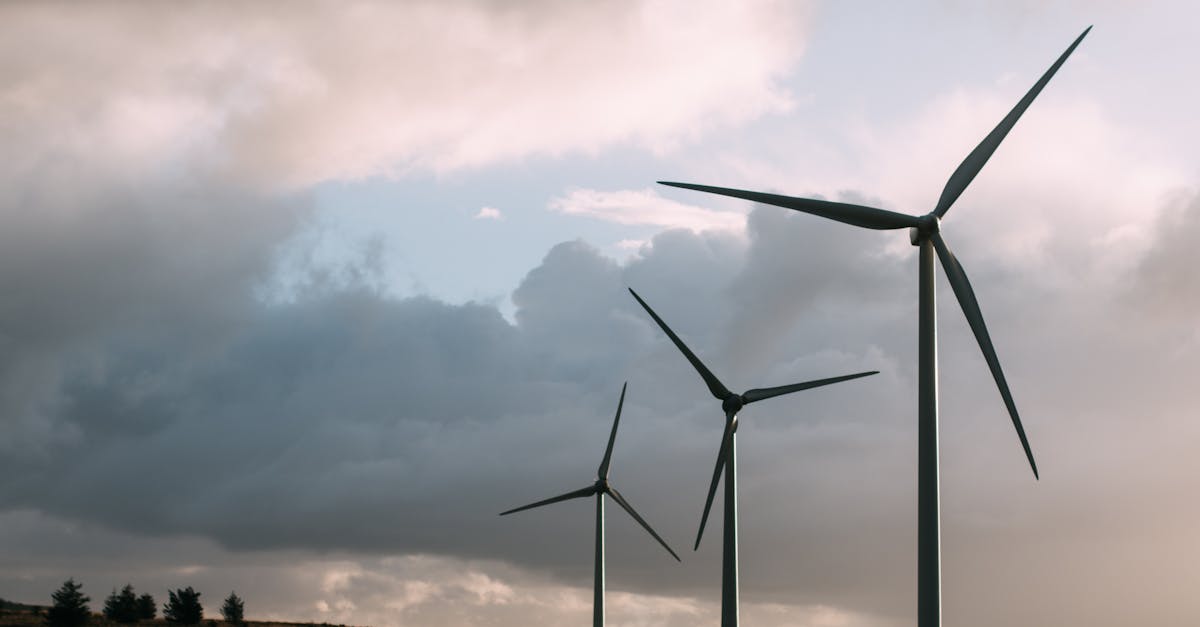 découvrez l'empreinte carbone, un indicateur essentiel de l'impact environnemental de nos activités. apprenez comment réduire votre empreinte et contribuer à un avenir durable.