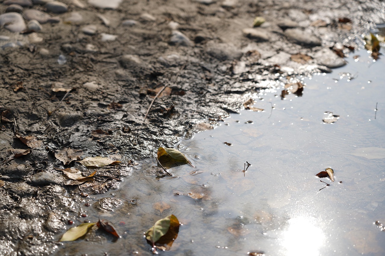 découvrez les causes et les conséquences de la pollution sur notre environnement et notre santé. apprenez comment réduire votre empreinte écologique et contribuer à un avenir plus sain.