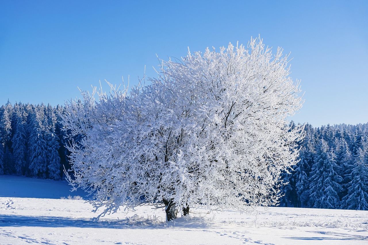 Arbre et Paysage 32 : une dynamique proactive malgré des incertitudes financières