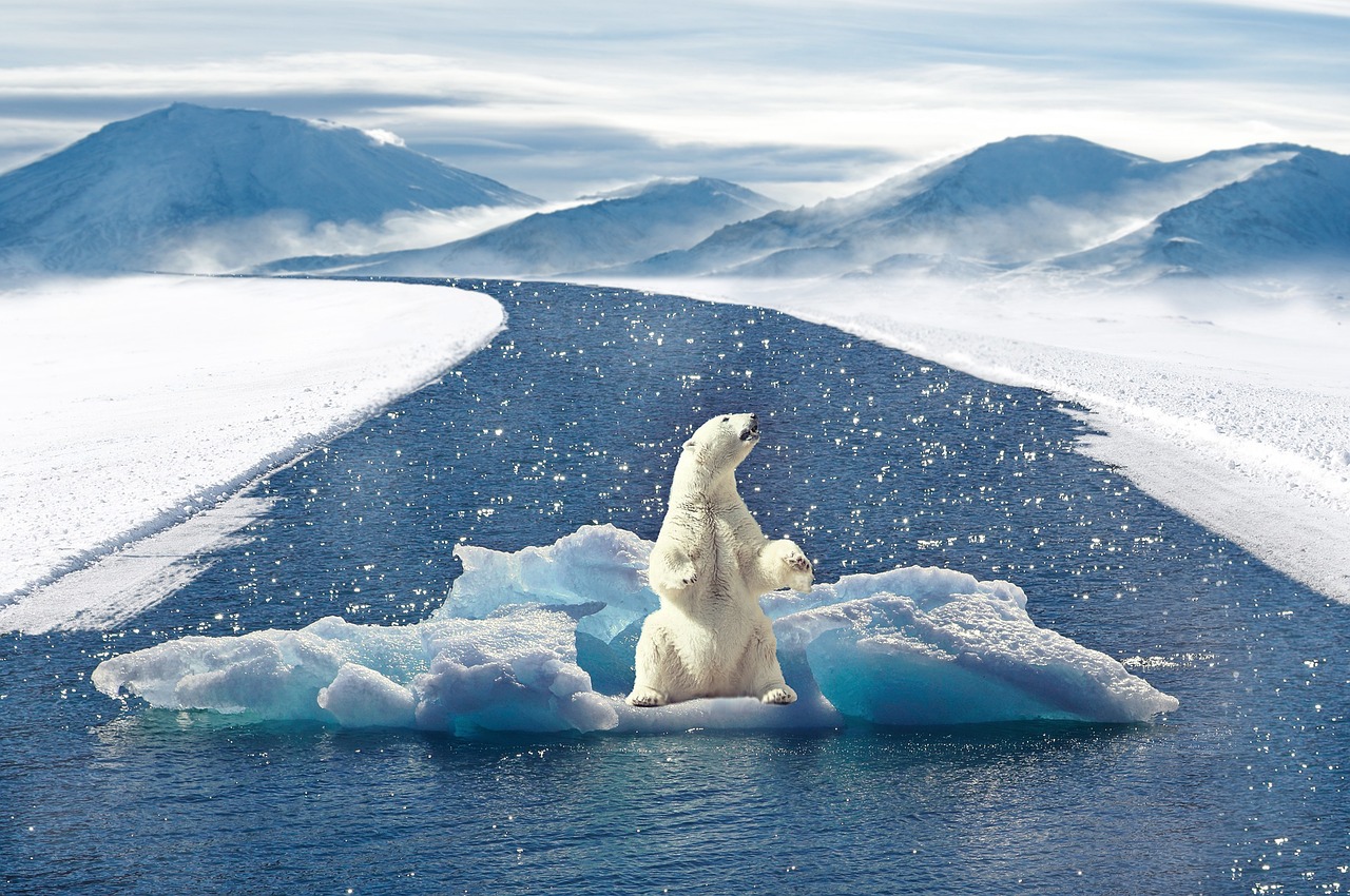 Climat et santé : comment le changement climatique influence notre bien-être