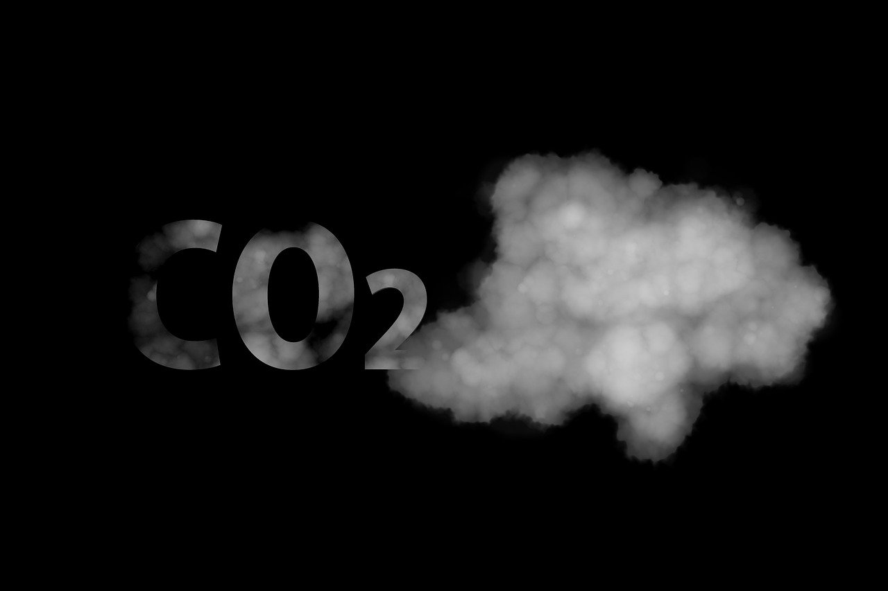 Sidetrade franchit un cap écologique : ses émissions de CO2 diminuent de 5 % en 2023
