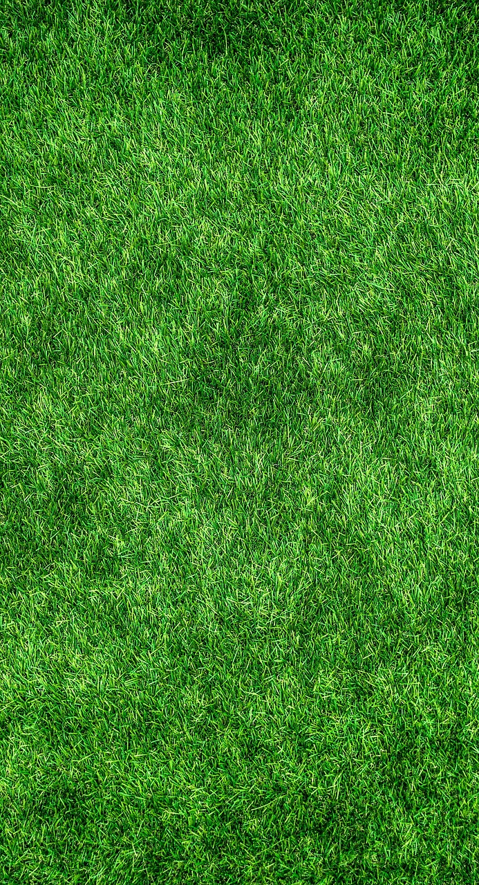 Produits ménagers écologiques : les solutions naturelles pour un intérieur sain