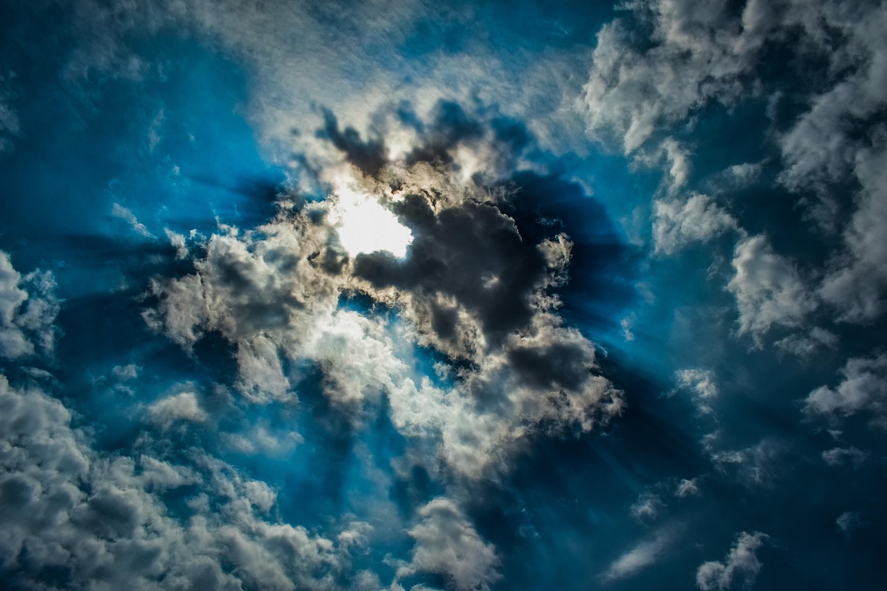 Sensibilisation climatique : Des actions concrètes pour un avenir durable