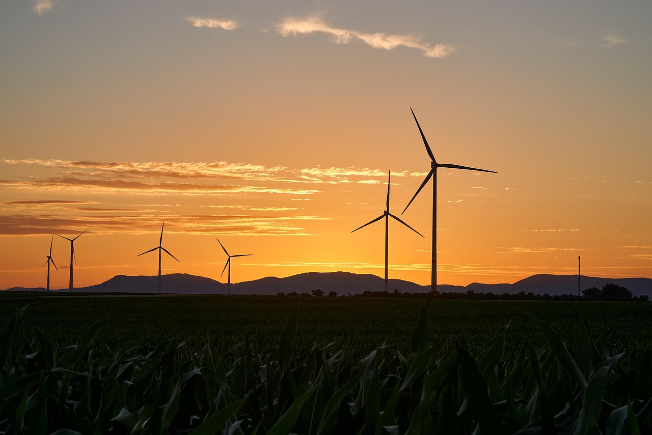 Production d’énergie verte : enjeux et perspectives pour un avenir durable