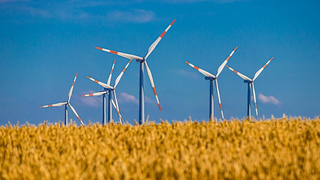 Décarbonation : quand les entreprises doivent réinventer leur futur pour un avenir durable