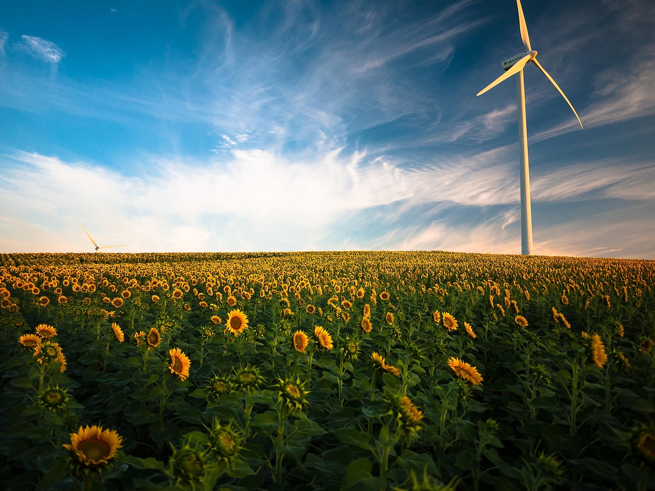 Allemagne : la montée des énergies renouvelables entraîne une baisse significative des émissions de carbone