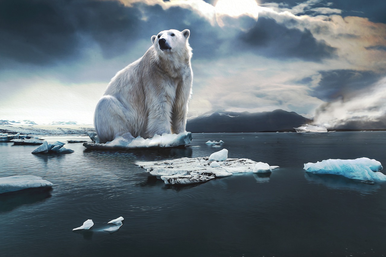 Changements climatiques : comment les entreprises peuvent agir efficacement