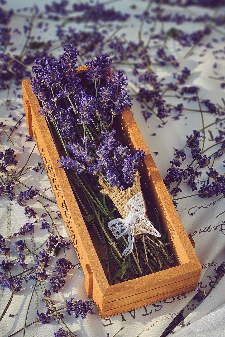 Slow life : comment ralentir pour mieux profiter de chaque instant