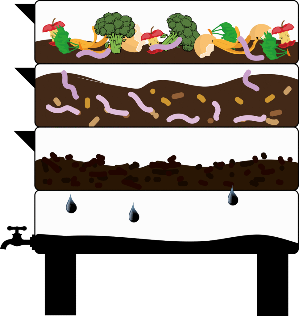 découvrez le vermicompostage, une méthode écologique de compostage utilisant des vers de terre pour transformer vos déchets organiques en engrais naturel riche et bénéfique pour votre jardin.